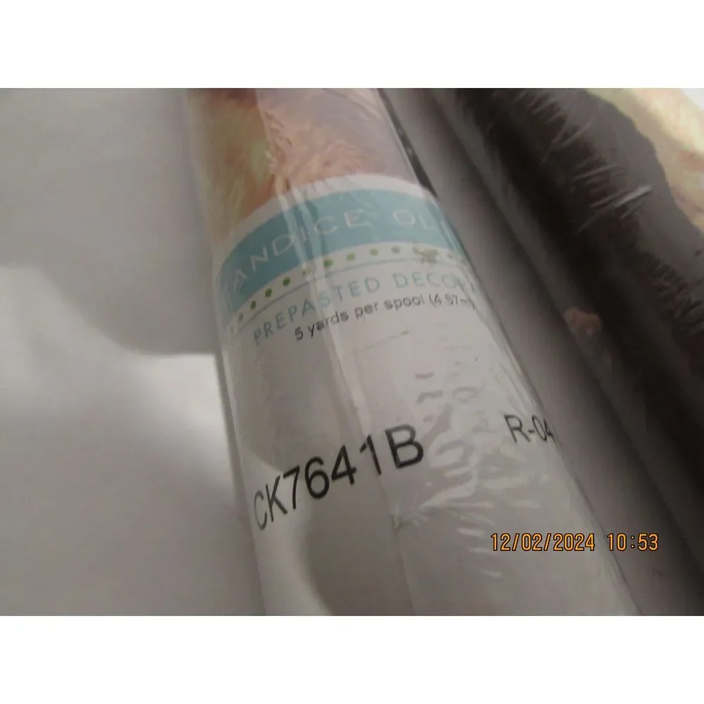 Candice Olson wallpaper border dinosaur print kids room 2 rolls 5yds each new